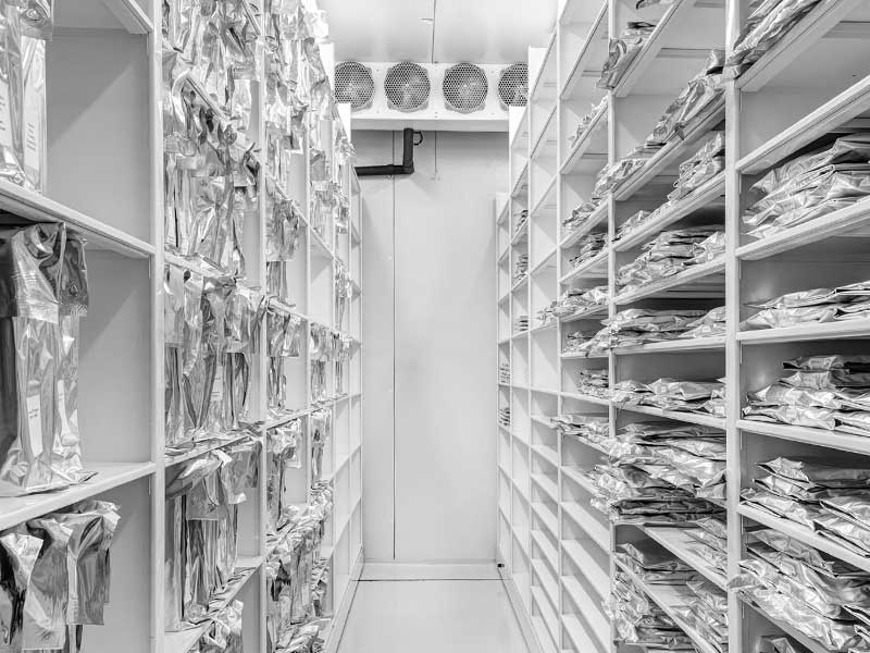 Cold storage room with shelves stacked with packaged items