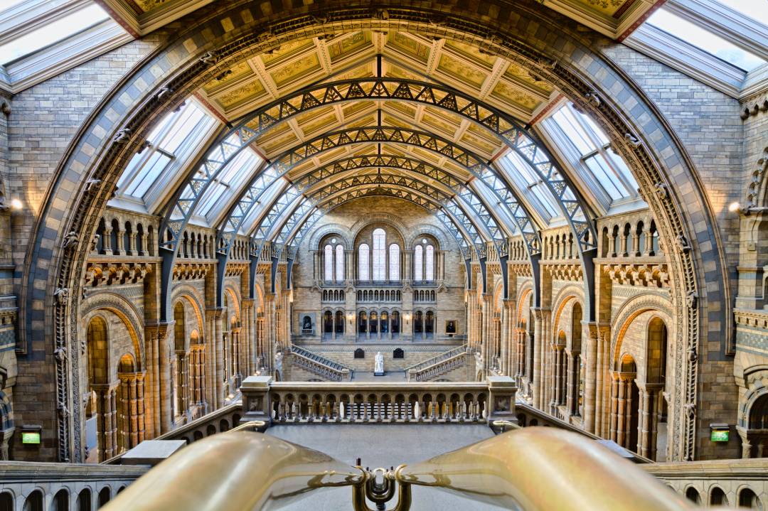 Internal Photo Of The Natural History Museum