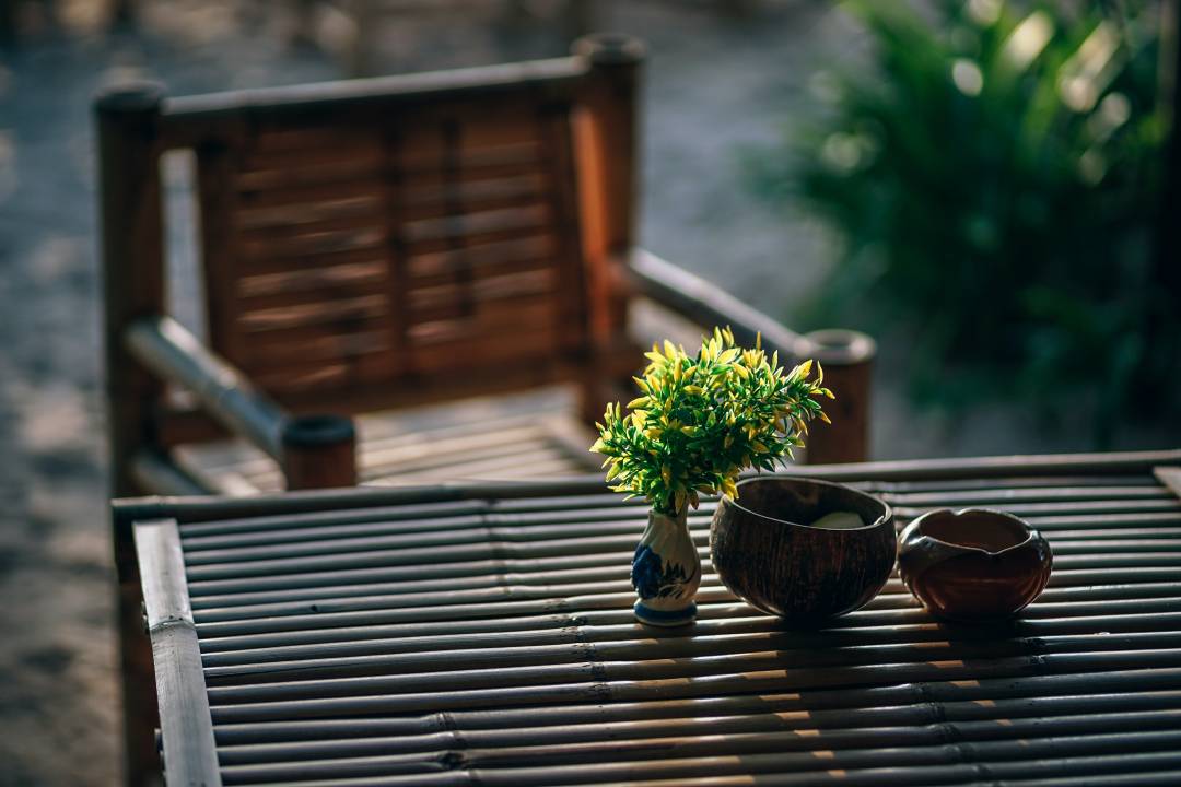 Garden table and chair with a plant laid on the table