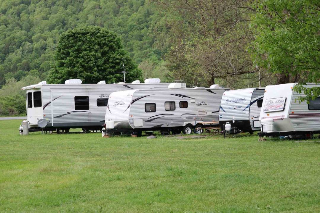 White Caravans Parked On A Field With Green Foliage In The Background